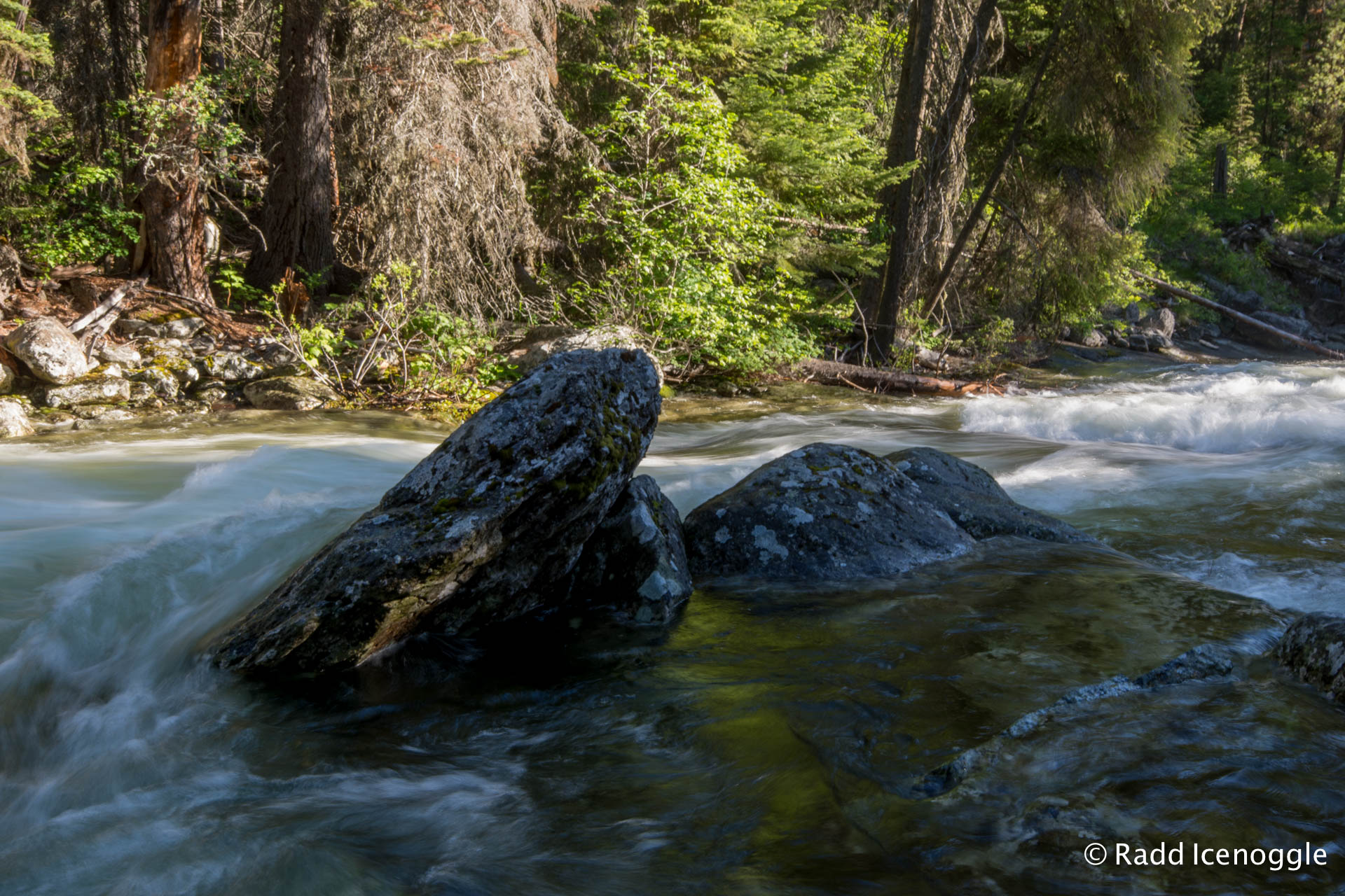 Morning Hike along Bear Creek RadleyIce